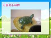 美術(shù)一年級下嶺南版19我們的動物樂園課件（22張）