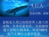 一年級下冊美術(shù)課件 第二課 海底世界多奇妙｜嶺南版 (15張PPT)