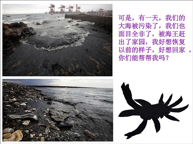 10.奇异的“海怪” 课件 (2)第4页