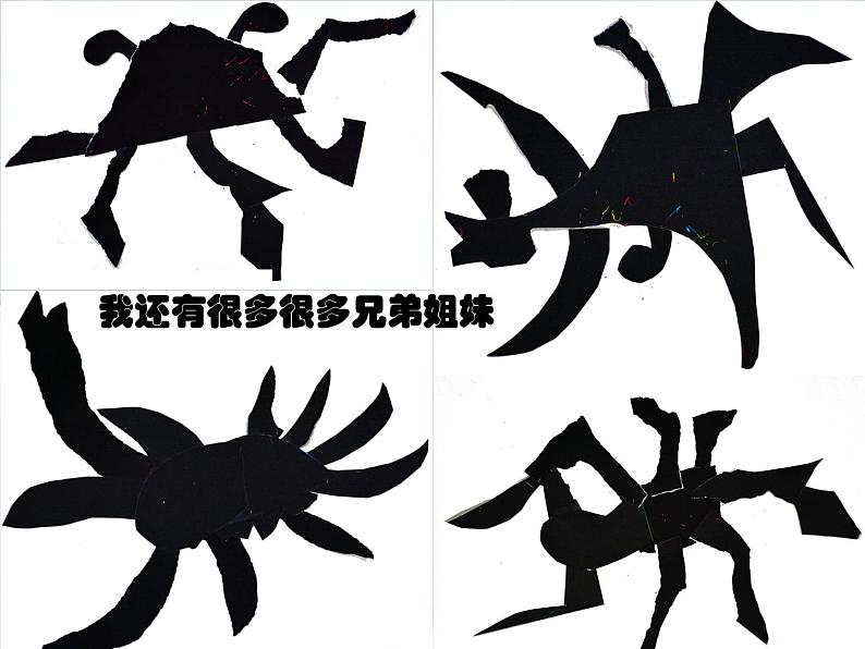 10.奇异的“海怪” 课件 (2)第5页