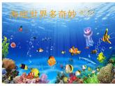 嶺南版美術一年級下冊 2.海底世界多奇妙 課件 教案 (4)(1)