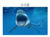 美术一年级下岭南版2.7大鱼和小鱼课件 (30张) (1)