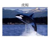 美术一年级下岭南版2.7大鱼和小鱼课件 (30张) (1)