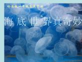 嶺南版美術一年級下冊 2.海底世界多奇妙 課件 教案 (2)
