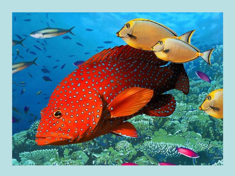 岭南版美术一年级下册 2.海底世界多奇妙 课件 教案 (2)07