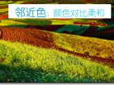 美术一年级下岭南版4.12缤纷的涂色游戏课件（24张）