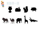 嶺南一下：19. 我們的動物樂園 課件（12張）