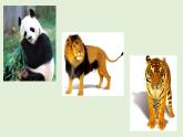 嶺南一下：19. 我們的動物樂園 課件（12張）