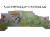 嶺南版美術(shù)二年級(jí)上冊(cè) 5.巧救小昆蟲 課件 教案