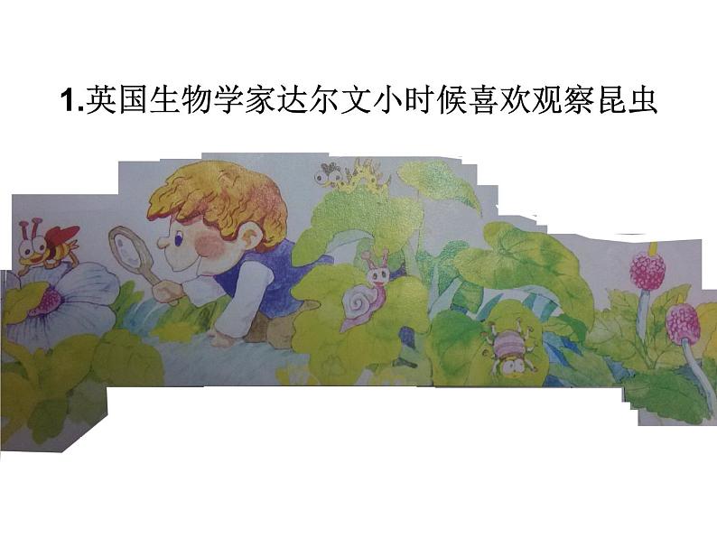 5.巧救小昆虫 课件 (1)第3页