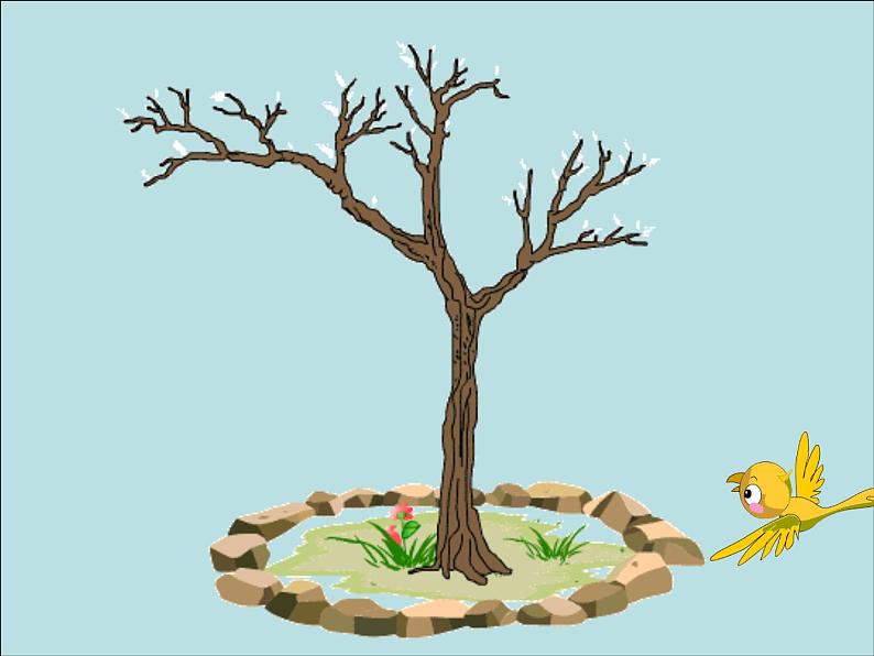 7、美丽的叶子 课件第3页