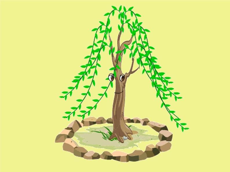 7、美丽的叶子 课件第4页