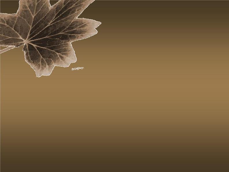 7、美丽的叶子 课件第5页