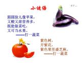 我家的菜籃子PPT課件免費(fèi)下載