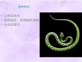 嶺南版美術(shù)二年級(jí)上冊(cè) 6.可愛的玩具蛇 課件 教案