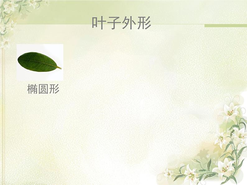 岭南版美术二年级上册 7.美丽的叶子 课件 教案 (4)04