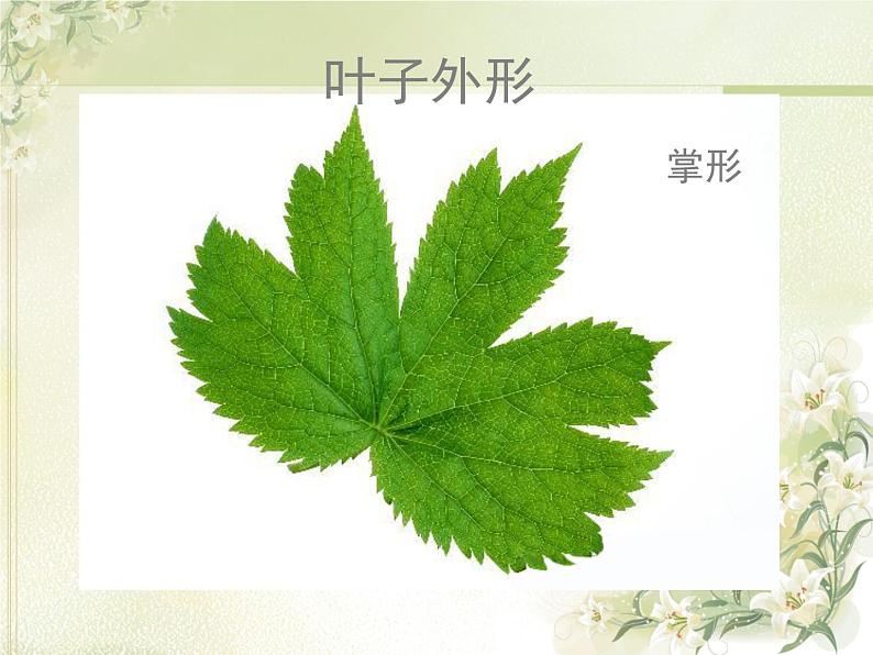 岭南版美术二年级上册 7.美丽的叶子 课件 教案 (4)07