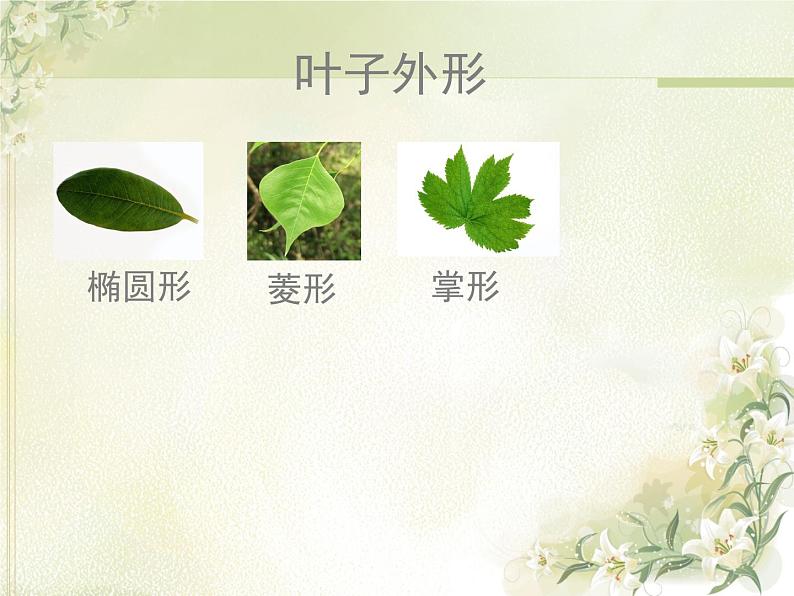 岭南版美术二年级上册 7.美丽的叶子 课件 教案 (4)08