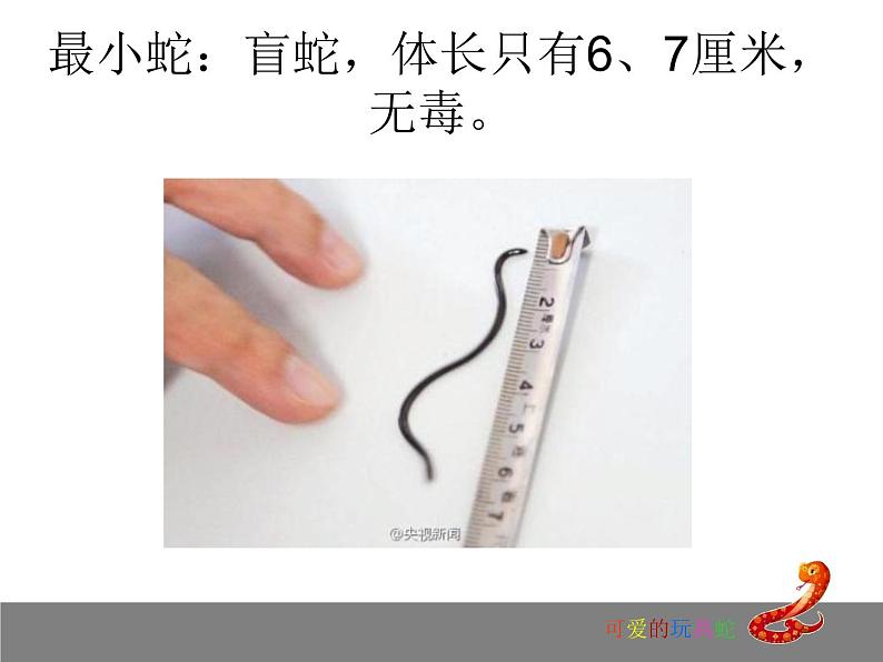 岭南版美术二年级上册 6.可爱的玩具蛇 课件 教案 (4)02