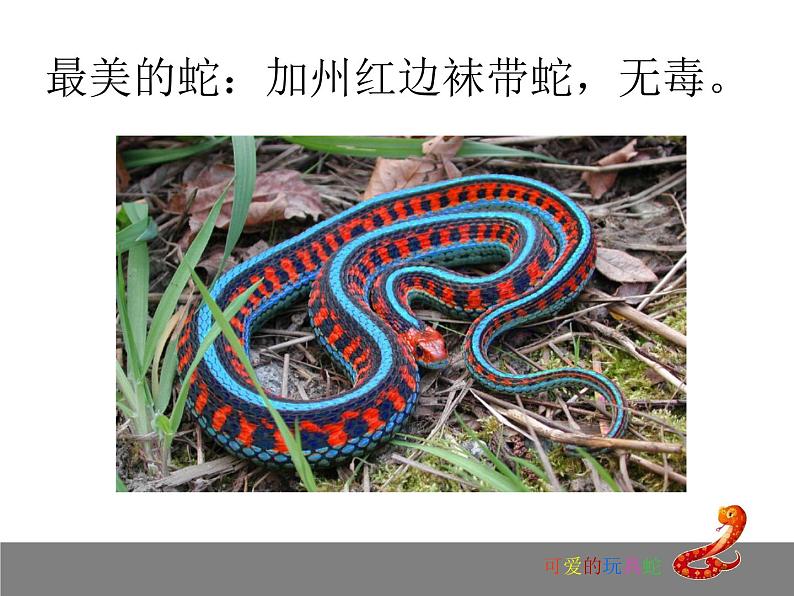 岭南版美术二年级上册 6.可爱的玩具蛇 课件 教案 (4)03