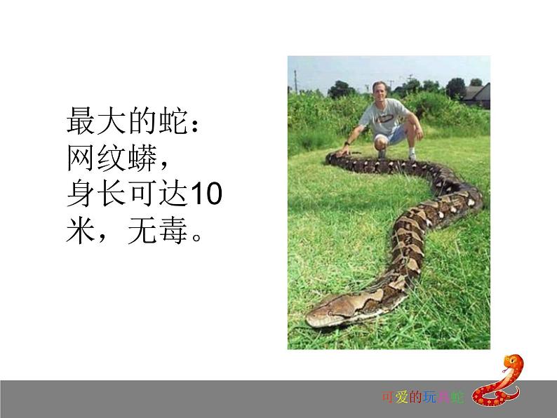 岭南版美术二年级上册 6.可爱的玩具蛇 课件 教案 (4)04