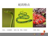 岭南版美术二年级上册 6.可爱的玩具蛇 课件 教案 (4)