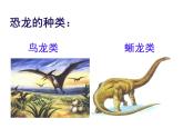 嶺南版美術(shù)二年級上冊 4. 恐龍回來了 課件 （19張PPT）