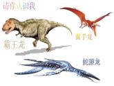 恐龍回來了PPT課件免費(fèi)下載