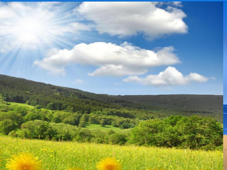 19.分类垃圾桶 课件 (2)第6页