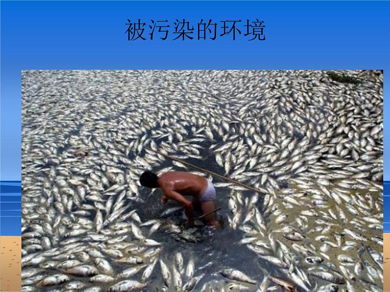 19.分类垃圾桶 课件 (2)第7页