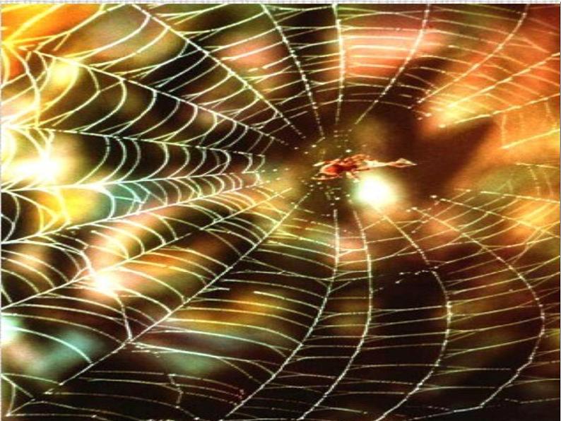 3.美妙多变的线条 课件 (2)第4页