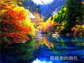 繽紛的色彩樂園PPT課件免費(fèi)下載
