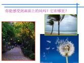 嶺南版美術(shù)三年級(jí)上冊(cè) 12.刮大風(fēng) 課件 教案