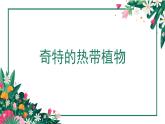 嶺南版 三上 14. 奇特的熱帶植物 課件（9張，內嵌音頻）