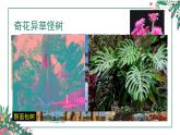 嶺南版 三上 14. 奇特的熱帶植物 課件（9張，內嵌音頻）