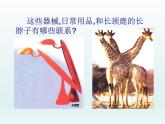 嶺南版美術(shù)三年級(jí)上冊(cè) 16.長(zhǎng)頸鹿的啟示 課件