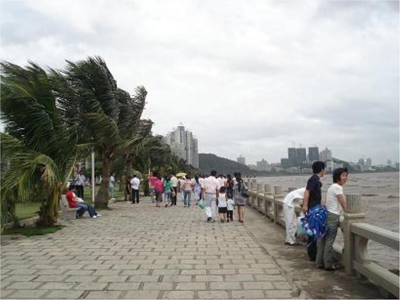 12.刮大风 课件 (2)第4页