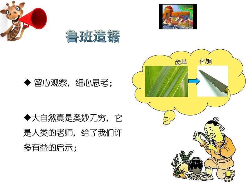 岭南版美术三年级上册 16. 长颈鹿的启示 课件 （11张PPT）第1页