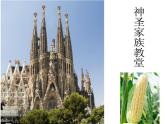 嶺南版美術三年級上冊 18.奇妙的建筑 課件 教案 (2)