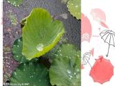 嶺南版美術(shù)三年級(jí)上冊(cè) 13.雨來了 課件 教案 (2)