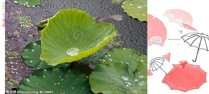 岭南版美术三年级上册 13.雨来了 课件 教案 (2)05