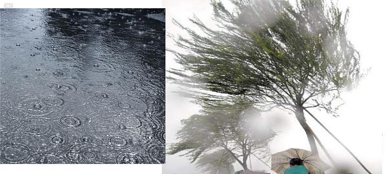 岭南版美术三年级上册 13.雨来了 课件 教案 (2)07