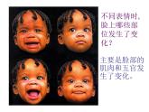 嶺南版美術(shù)三年級(jí)下冊(cè) 8.表情豐富的臉 課件 教案 (2)
