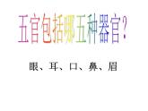嶺南版美術(shù)三年級(jí)下冊(cè) 8.表情豐富的臉 課件 教案 (2)