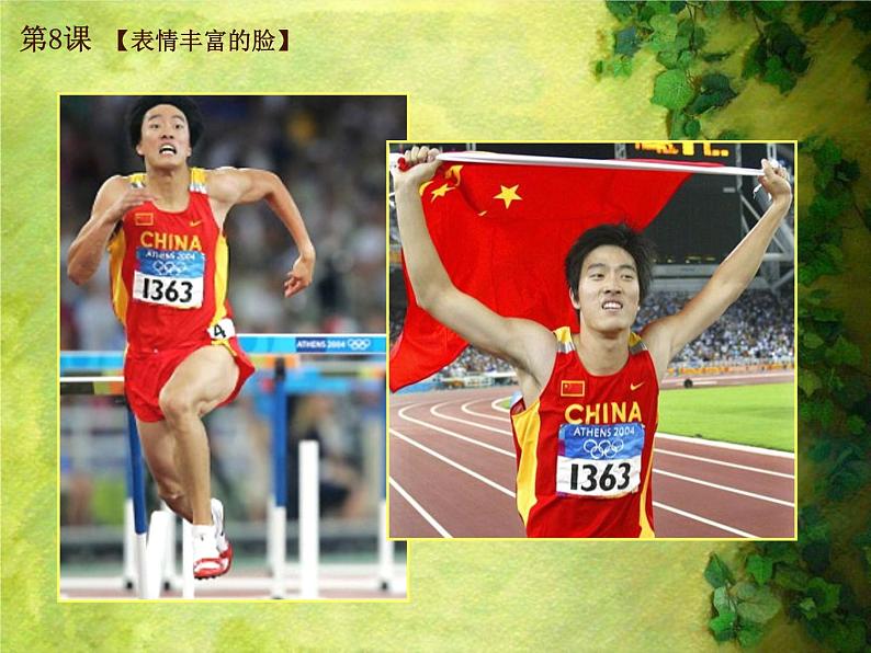 8. 表情丰富的脸 课件 (4)第2页