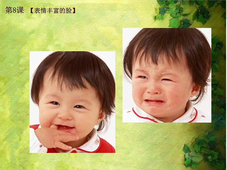 8. 表情丰富的脸 课件 (4)第3页