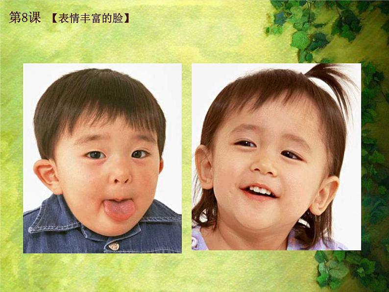 8. 表情丰富的脸 课件 (4)第4页