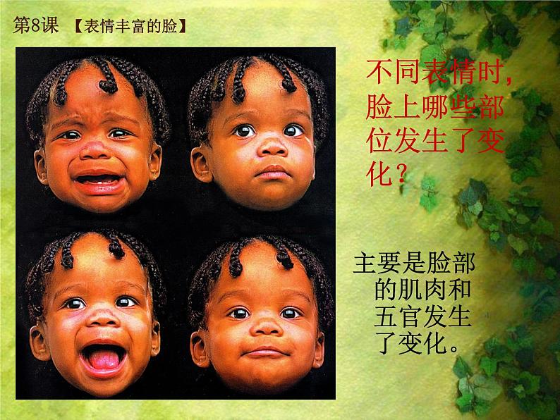 8. 表情丰富的脸 课件 (4)第5页