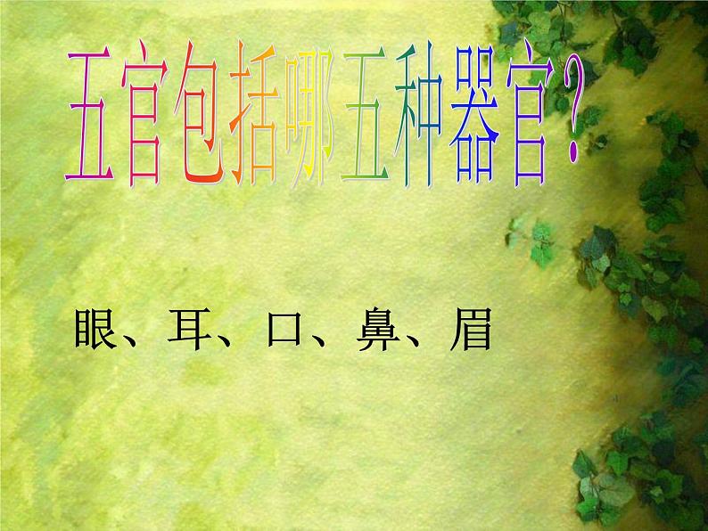 8. 表情丰富的脸 课件 (4)第6页