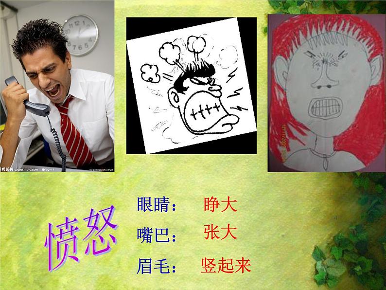 8. 表情丰富的脸 课件 (4)第8页